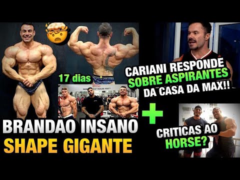 BRANDÃO BRUTAL !! CARIANI FALA DOS ASPIRANTES DA CASA DA MAX - HORSE CRITICADO? + FELIPE FRANCO