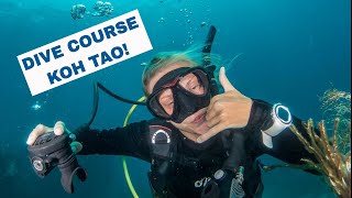 PADI Open Water Diver Course Koh Tao - Sairee Cottage Diving
