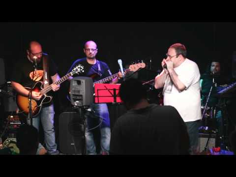 Chicco Accetta & True Blues Live - The Thrill Is Gone