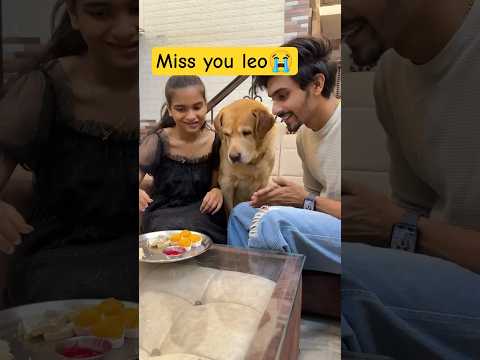 Happy bhai dooj❤️ #shorts    #leodeath #prayerforleo