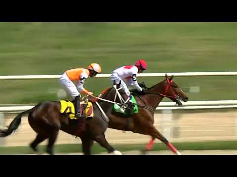 221209 c01 - IPE - HIPODROMO LAS PIEDRAS