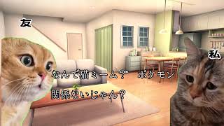 【猫meme】猫ミーム上手な作り方！　を作ろうとした話「実話シリーズ 」
