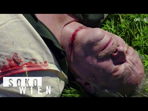 ᴴᴰ SOKO Wien Staffel 13 Folge 10 - Die Bienenkönigin