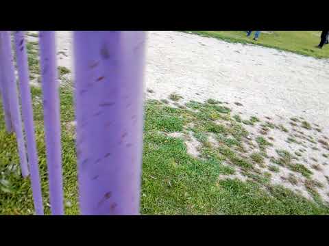 Драка и песпалевная съёмка