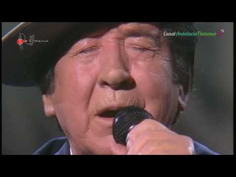 Fandangos. Juanito Valderrama. 1990