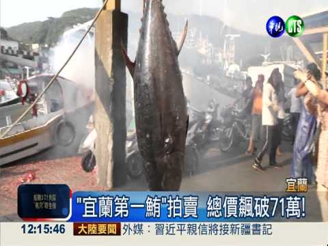 "宜蘭第一鮪"上鉤 拍賣價71萬!