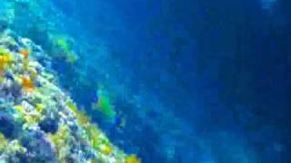 preview picture of video 'Cavtat Underwater Part 01'
