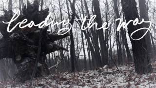 I Will Trust You (Lyric Video) - Calvary Worship Collective