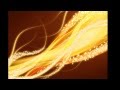 Mike Oldfield Lakme Fruity Loops Yellow Glamour