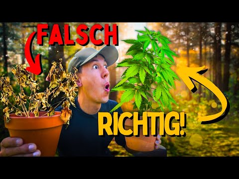 Growing for beginners - watering correctly! Do you know this method?