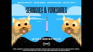 Seringues & Yorkshires