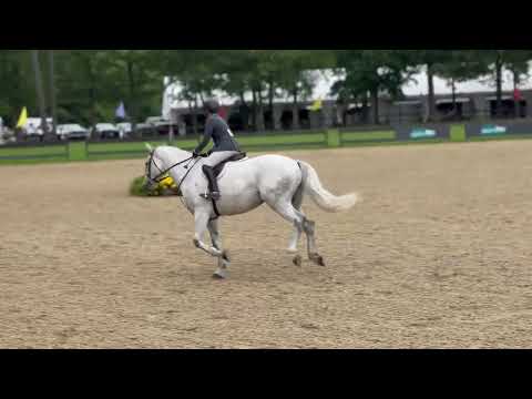 CMS Watermark video 1