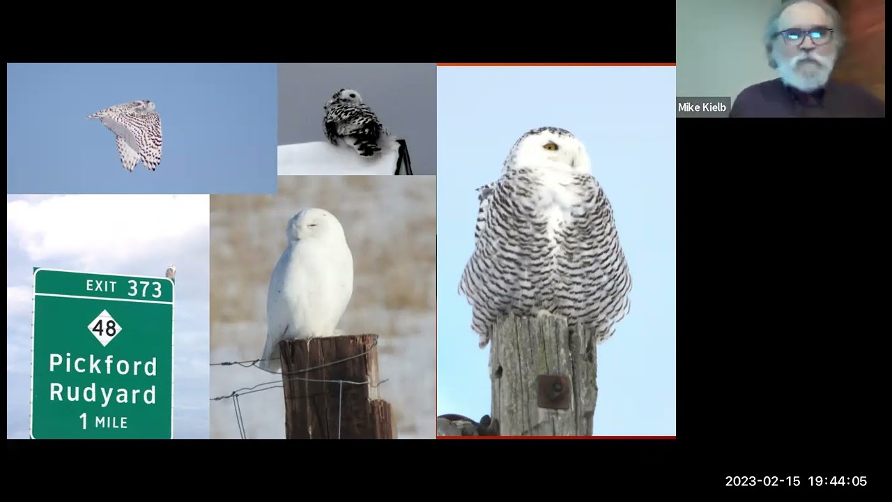 Four Seasons of Natural History in Michigan - presented by Michael Kielb