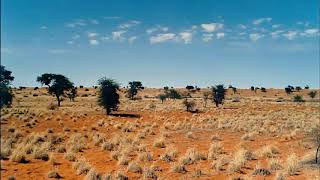 Download lagu Title: Doa Sepasang Petani Muda (kemarau panjang) Artist: Ebiet G.Ade mp3