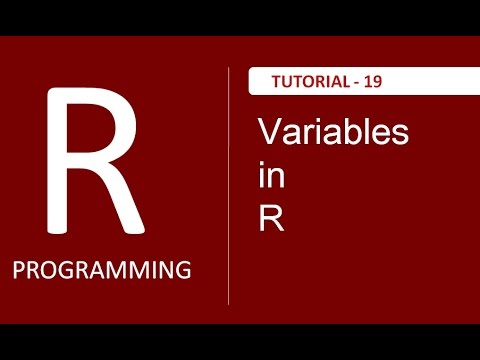 Basic Introduction to R Programming Tutorial 19