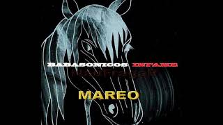 BABASONICOS - MAREO