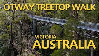 Otway Treetop Walk - A must do in Victoria Australia