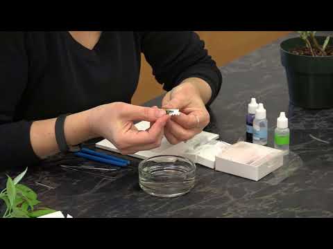 Episode 5 Making Cross Sections By Hand Stems