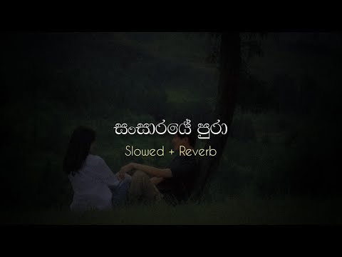සංසාරයේ පුරා | Sansaraye Pura ( Slowed + Reverb )