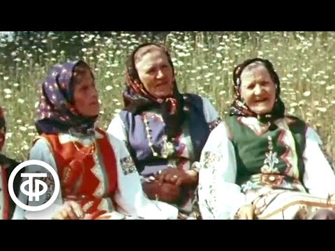 Родники народные. Старинные сибирские песни в исполнении народных коллективов (1979)