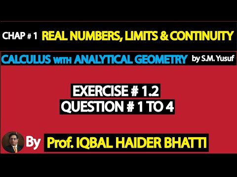 Ch#1| Exercise 1.2 Q1 to Q4 and Examples |Calculus by SM Yusuf(Lec 19)