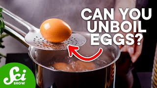 Shrimp Treadmills and 5 Other Odd Research Projects