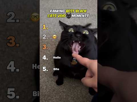 Ranking Best Black Cats Void Moments