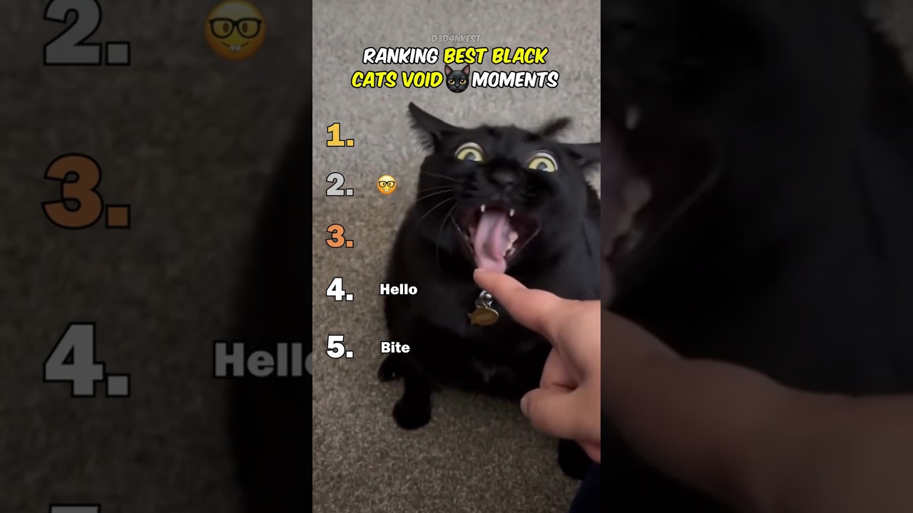 Ranking Best Black Cats Void Moments