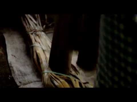 Ervan Ceh Kul - Teganing [Official Video]