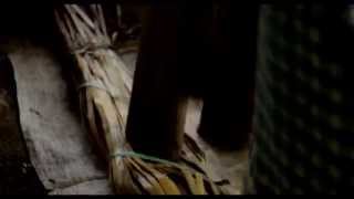 Download lagu Ervan Ceh Kul - Teganing [ Video] mp3