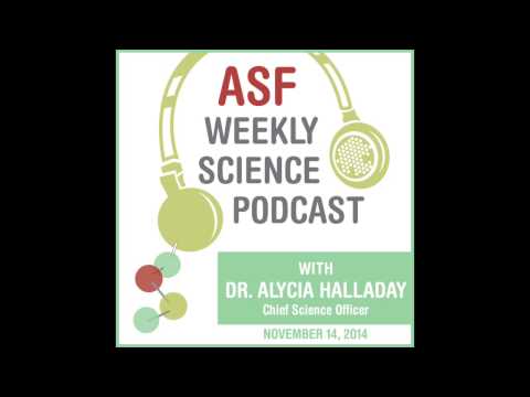 The Aging Autism Brain