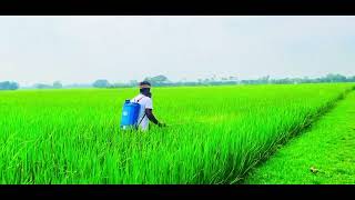 Download the video "#cinematic "
