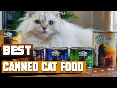Canned Cat Food : Best Selling Canned Cat Foods on Amazon