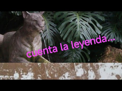 Aguas Blancas😍y fuente del Puma ...te cuento las leyendas??