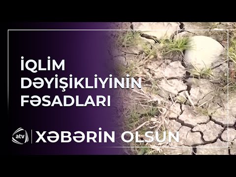 İqlim dəyişikliyinin fəsadlarını nədə hiss edəcəyik?