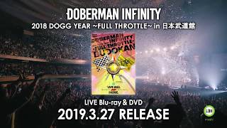 DOBERMAN INFINITY「2018 DOGG YEAR 〜FULL THROTTLE〜 in 日本武道館」TEASER