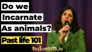 Past life regression / Reincarnation - Do we incarnate as plants? animals? - Orly Arava