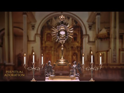 LIVE Perpetual Adoration  (24/7) | Shalom World Prayer Chapel