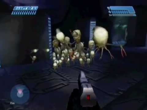 BCM62 - Spore herding, setting up a massive early herd