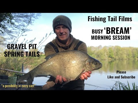 Gravel Pit Bream - Spring Tails episode Busy Morning Session #breamfishing #gravelpit #fishing