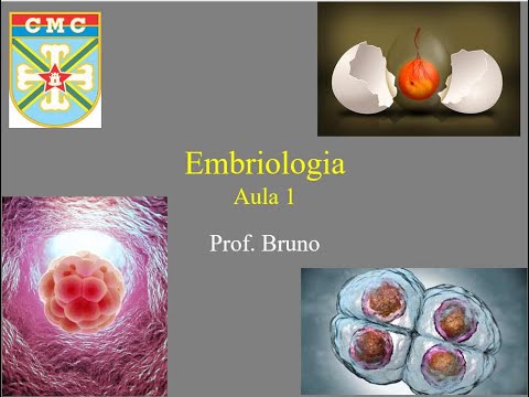 Aula Embriologia 1