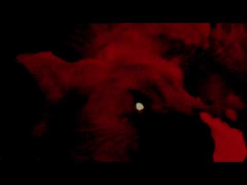 (free) eric north x sybyr x bruhmanegod type beat (prod TOUR)