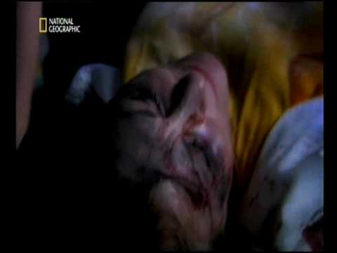 Sekunden vor dem Unglück - Einsturz des Kansas Hyatt_1_clip0.avi