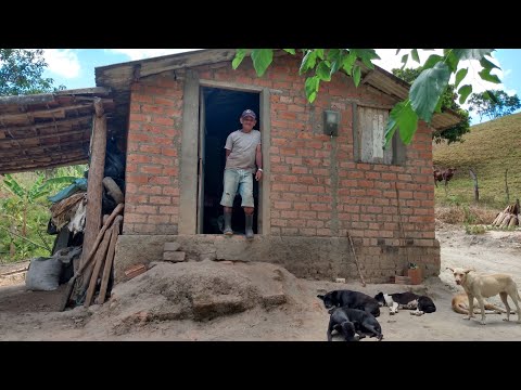 ROCEIRO RAÍZ VIVENDO MUITO FELIZ / Seu Antônio / Canhotinho / PE