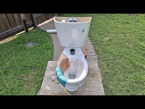 2010 Caroma Sydney Tests