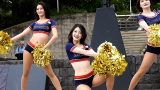 横浜ビーコルセアーズチアリーダー B ROSE ハマフェスY165①