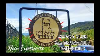 Download lagu tempat menarik di kundasang, ranau!!! mp3