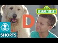 Sesame Street Meet Digby The Dog