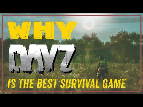 A Love Letter to DayZ