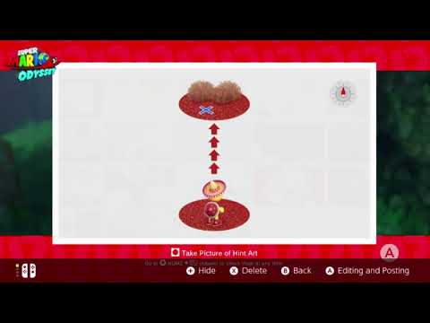 Found With Wooded Kingdom Art - Super Mario Odyssey